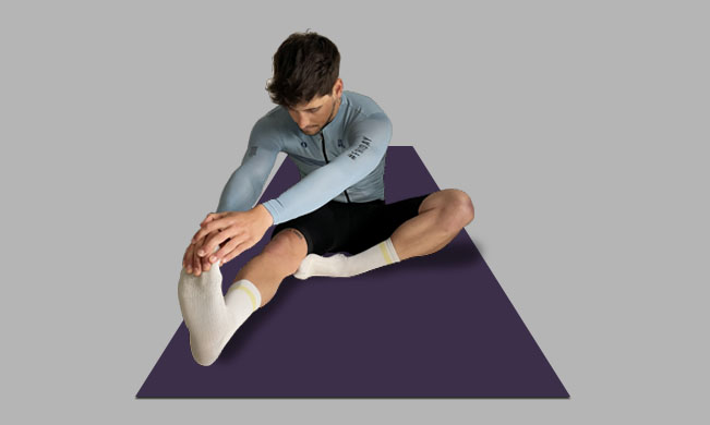 hamstring